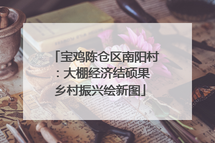 宝鸡陈仓区南阳村：大棚经济结硕果 乡村振兴绘新图