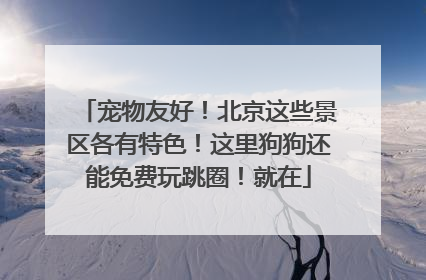 宠物友好！北京这些景区各有特色！这里狗狗还能免费玩跳圈！就在