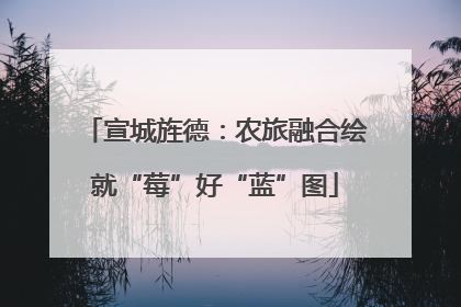 宣城旌德：农旅融合绘就“莓”好“蓝”图