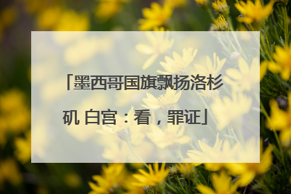 墨西哥国旗飘扬洛杉矶 白宫：看，罪证