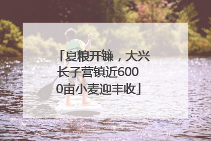 夏粮开镰，大兴长子营镇近6000亩小麦迎丰收