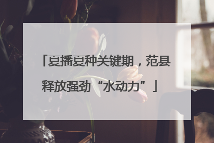 夏播夏种关键期，范县释放强劲“水动力”