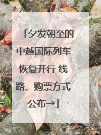 夕发朝至的中越国际列车恢复开行 线路、购票方式公布→