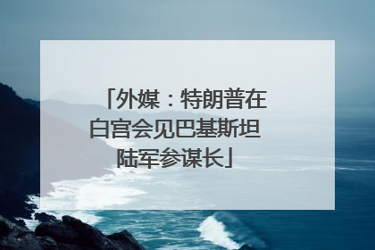 外媒：特朗普在白宫会见巴基斯坦陆军参谋长