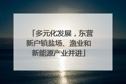 多元化发展，东营新户镇盐场、渔业和新能源产业并进