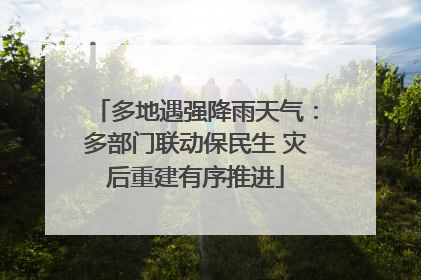 多地遇强降雨天气：多部门联动保民生 灾后重建有序推进