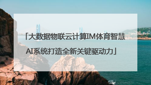 大数据物联云计算IM体育智慧AI系统打造全新关键驱动力