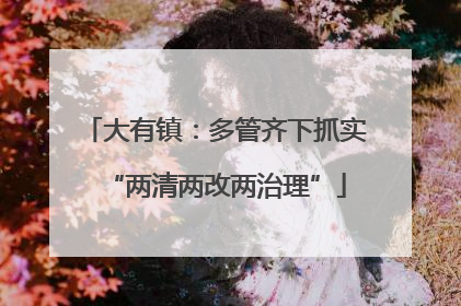 大有镇：多管齐下抓实“两清两改两治理”