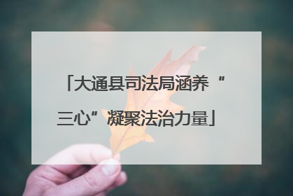 大通县司法局涵养“三心”凝聚法治力量