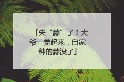失“蒜”了！大爷一觉起来，自家种的蒜没了