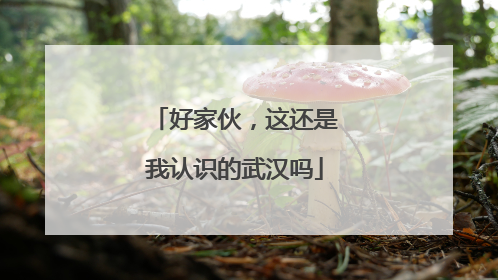 好家伙，这还是我认识的武汉吗