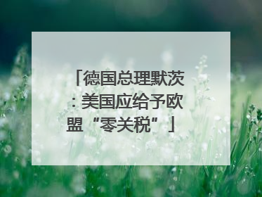 德国总理默茨：美国应给予欧盟“零关税”