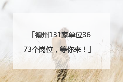 德州131家单位3673个岗位，等你来！