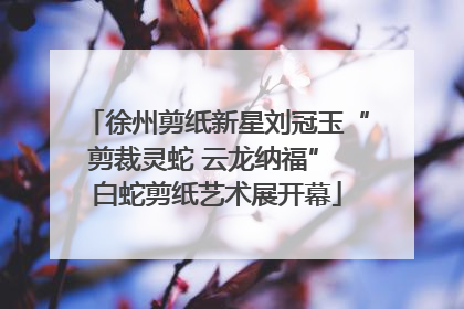徐州剪纸新星刘冠玉“剪裁灵蛇 云龙纳福” 白蛇剪纸艺术展开幕