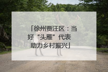 徐州贾汪区：当好“头雁”代表 助力乡村振兴