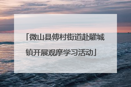 微山县傅村街道赴驩城镇开展观摩学习活动