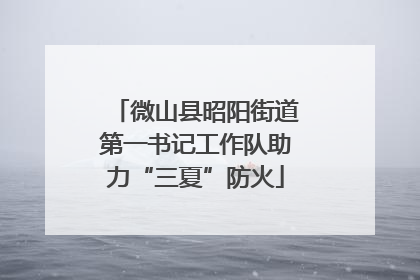 微山县昭阳街道第一书记工作队助力“三夏”防火