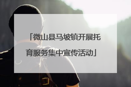 微山县马坡镇开展托育服务集中宣传活动