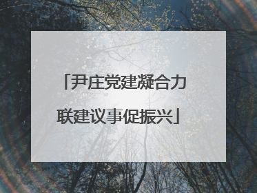尹庄党建凝合力 联建议事促振兴