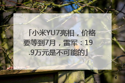 小米YU7亮相，价格要等到7月，雷军：19.9万元是不可能的