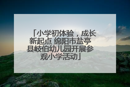 小学初体验，成长新起点 绵阳市盐亭县岐伯幼儿园开展参观小学活动