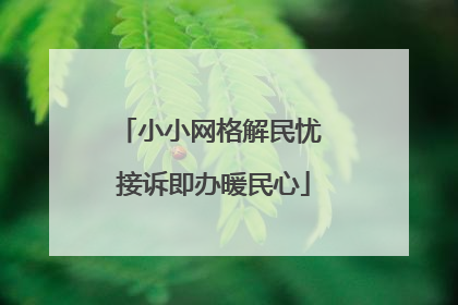 小小网格解民忧 接诉即办暖民心