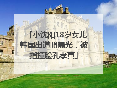 小沈阳18岁女儿韩国出道照曝光，被指撞脸孔孝真