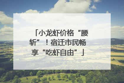小龙虾价格“腰斩”！宿迁市民畅享“吃虾自由”
