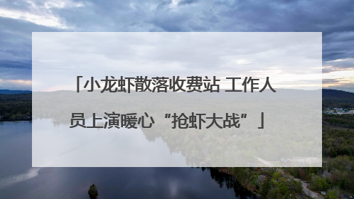 小龙虾散落收费站 工作人员上演暖心“抢虾大战”