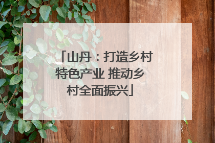 山丹：打造乡村特色产业 推动乡村全面振兴