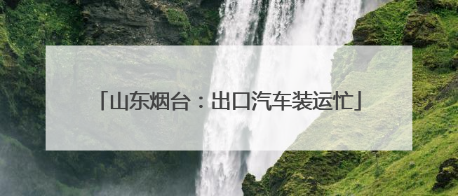 山东烟台：出口汽车装运忙