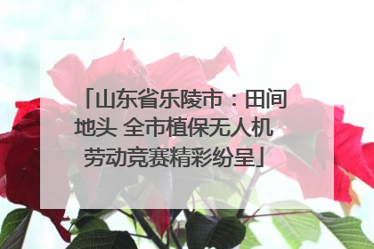 山东省乐陵市：田间地头 全市植保无人机劳动竞赛精彩纷呈