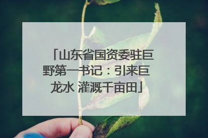 山东省国资委驻巨野第一书记：引来巨龙水 灌溉千亩田
