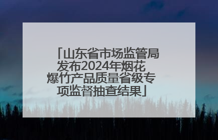 山东省市场监管局发布2024年烟花爆竹产品质量省级专项监督抽查结果
