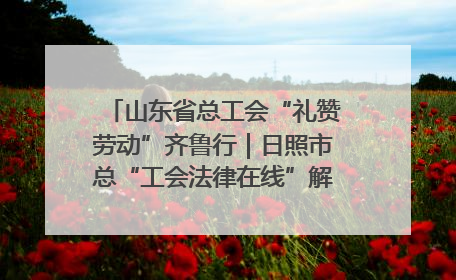 山东省总工会“礼赞劳动”齐鲁行｜日照市总“工会法律在线”解决职工愁“薪”事