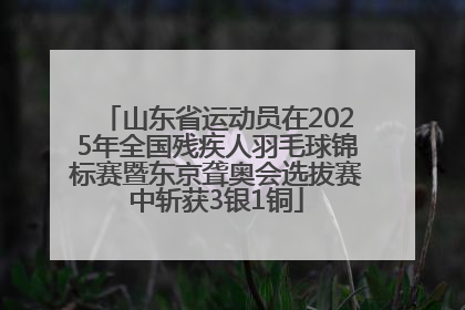 山东省运动员在2025年全国残疾人羽毛球锦标赛暨东京聋奥会选拔赛中斩获3银1铜
