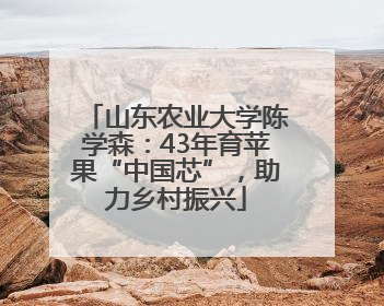 山东农业大学陈学森：43年育苹果“中国芯”，助力乡村振兴