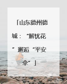 山东德州德城：“解忧花”邂逅“平安伞”