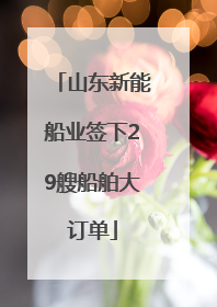 山东新能船业签下29艘船舶大订单