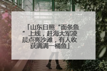 山东日照“面条鱼”上线，赶海大军凌晨点亮沙滩，有人收获满满一桶鱼