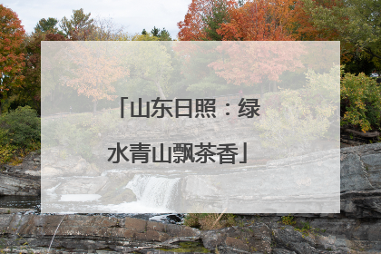山东日照：绿水青山飘茶香