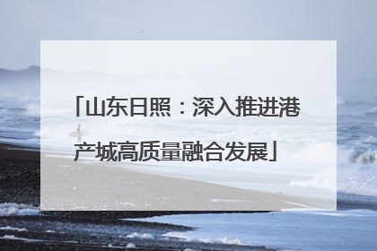 山东日照：深入推进港产城高质量融合发展
