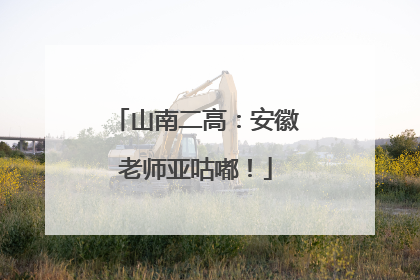 山南二高：安徽老师亚咕嘟！