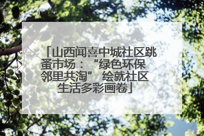 山西闻喜中城社区跳蚤市场：“绿色环保 邻里共淘” 绘就社区生活多彩画卷