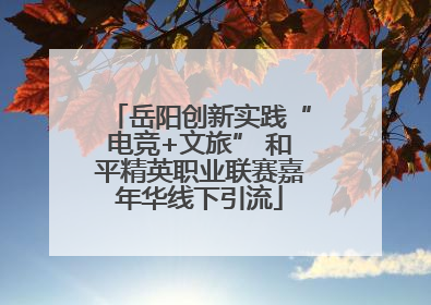 岳阳创新实践“电竞+文旅” 和平精英职业联赛嘉年华线下引流