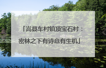 嵩县车村镇顶宝石村：密林之下有诗意有生机