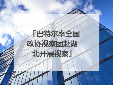 巴特尔率全国政协视察团赴湖北开展视察