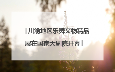 川渝地区乐舞文物精品展在国家大剧院开幕