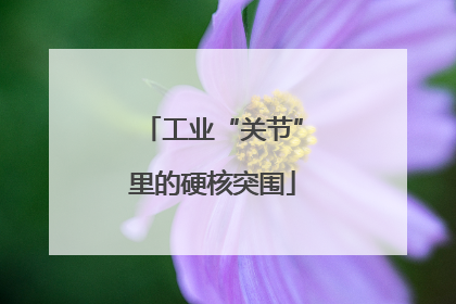 工业“关节”里的硬核突围