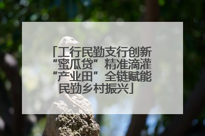 工行民勤支行创新“蜜瓜贷”精准滴灌“产业田”全链赋能民勤乡村振兴